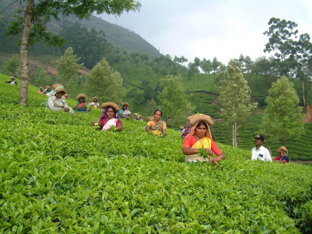 شقة Mistica Munnar Anachal المظهر الخارجي الصورة