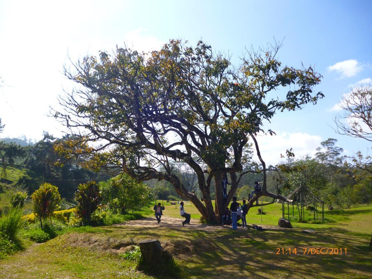 شقة Mistica Munnar Anachal المظهر الخارجي الصورة