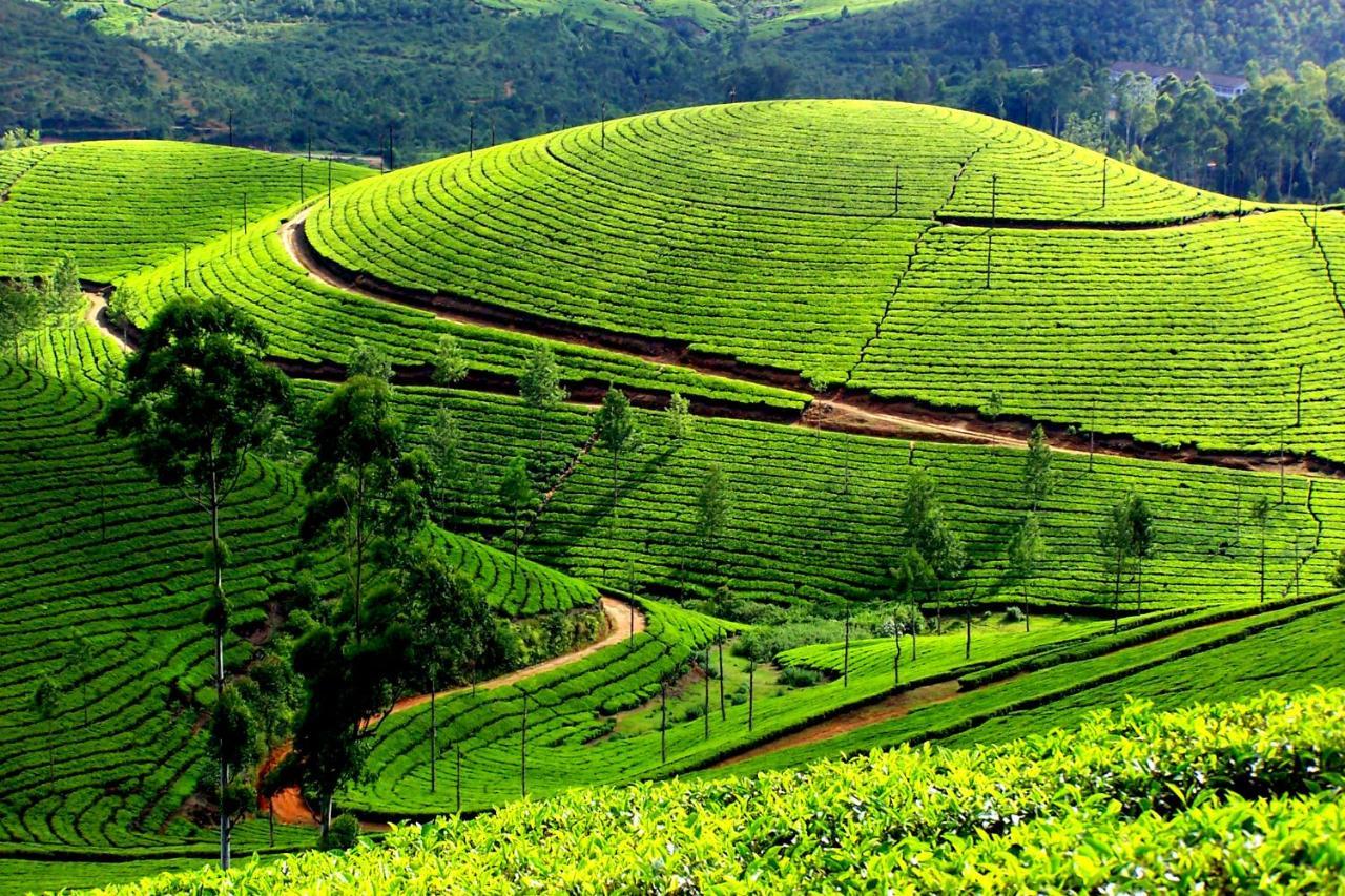 شقة Mistica Munnar Anachal المظهر الخارجي الصورة