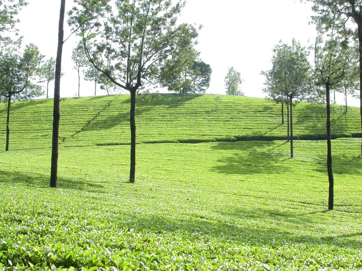 شقة Mistica Munnar Anachal المظهر الخارجي الصورة