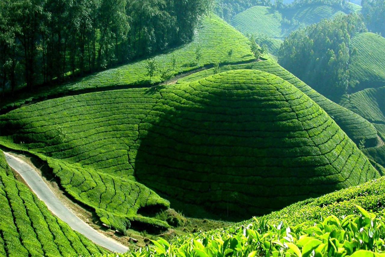 شقة Mistica Munnar Anachal المظهر الخارجي الصورة
