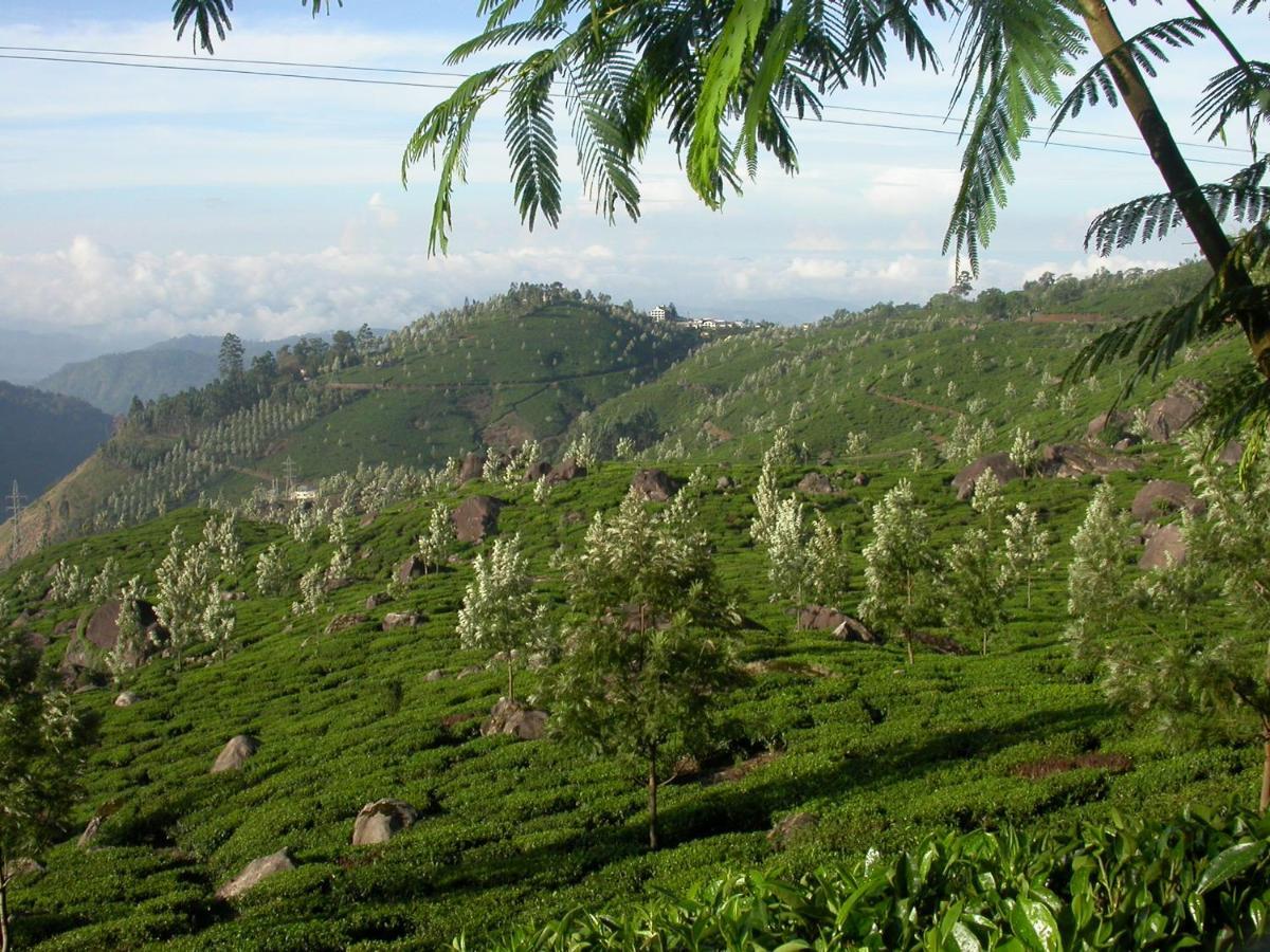 شقة Mistica Munnar Anachal المظهر الخارجي الصورة
