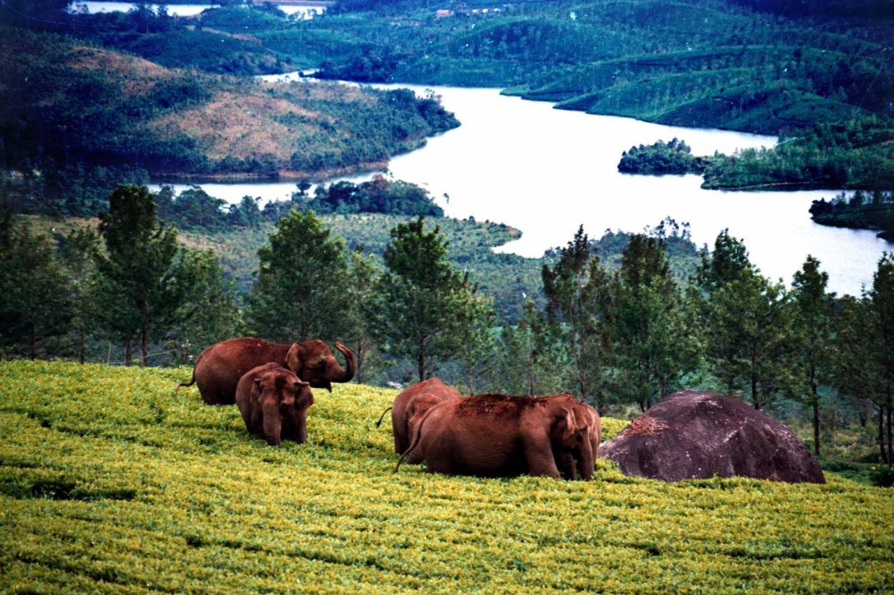 شقة Mistica Munnar Anachal المظهر الخارجي الصورة